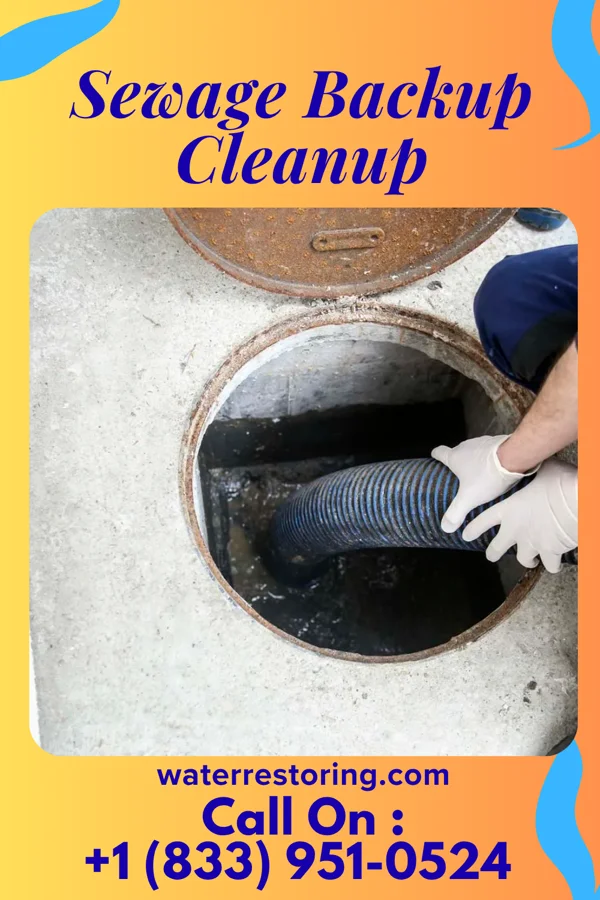 Sewage Backup Cleanup in Jennings, MI