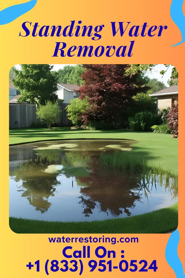 Standing Water Removal in Jennings, MI
